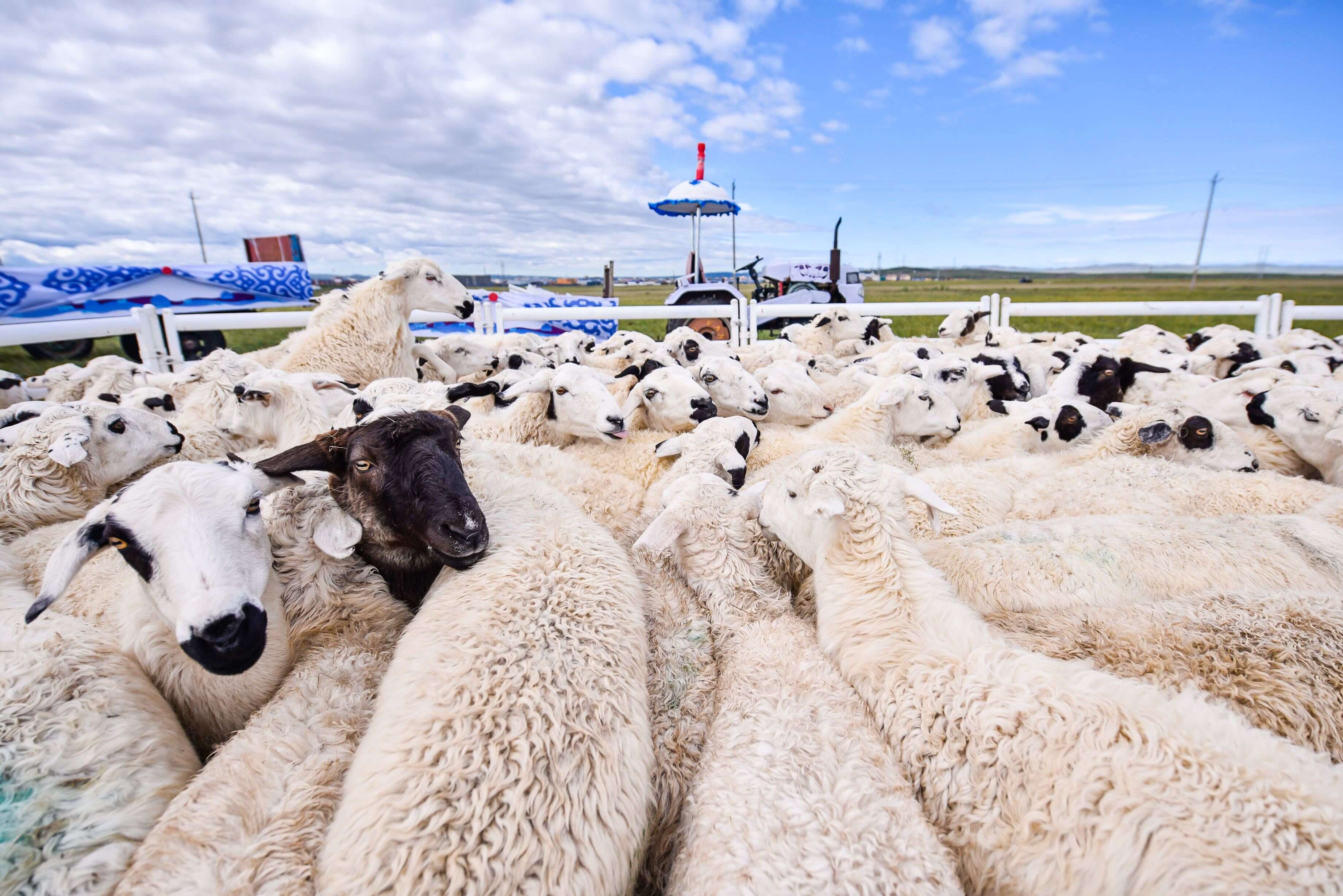 原油投资者新手