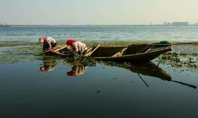 白银投资未来前景如何样